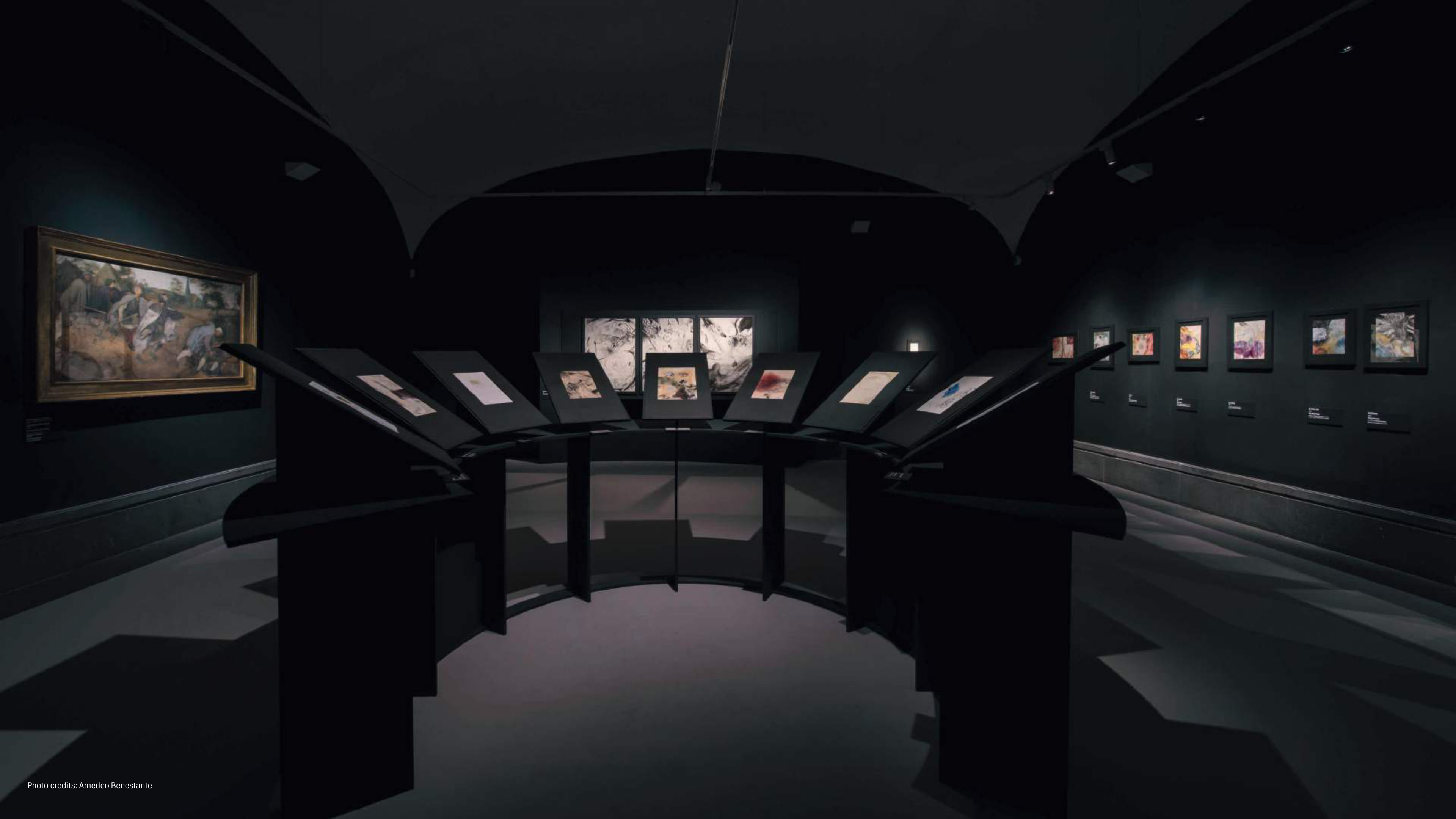 Installation view from the portfolio
